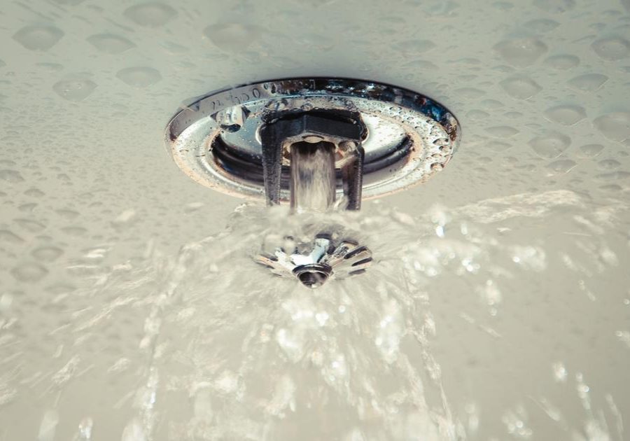 sprinklerhead sprinklerhead